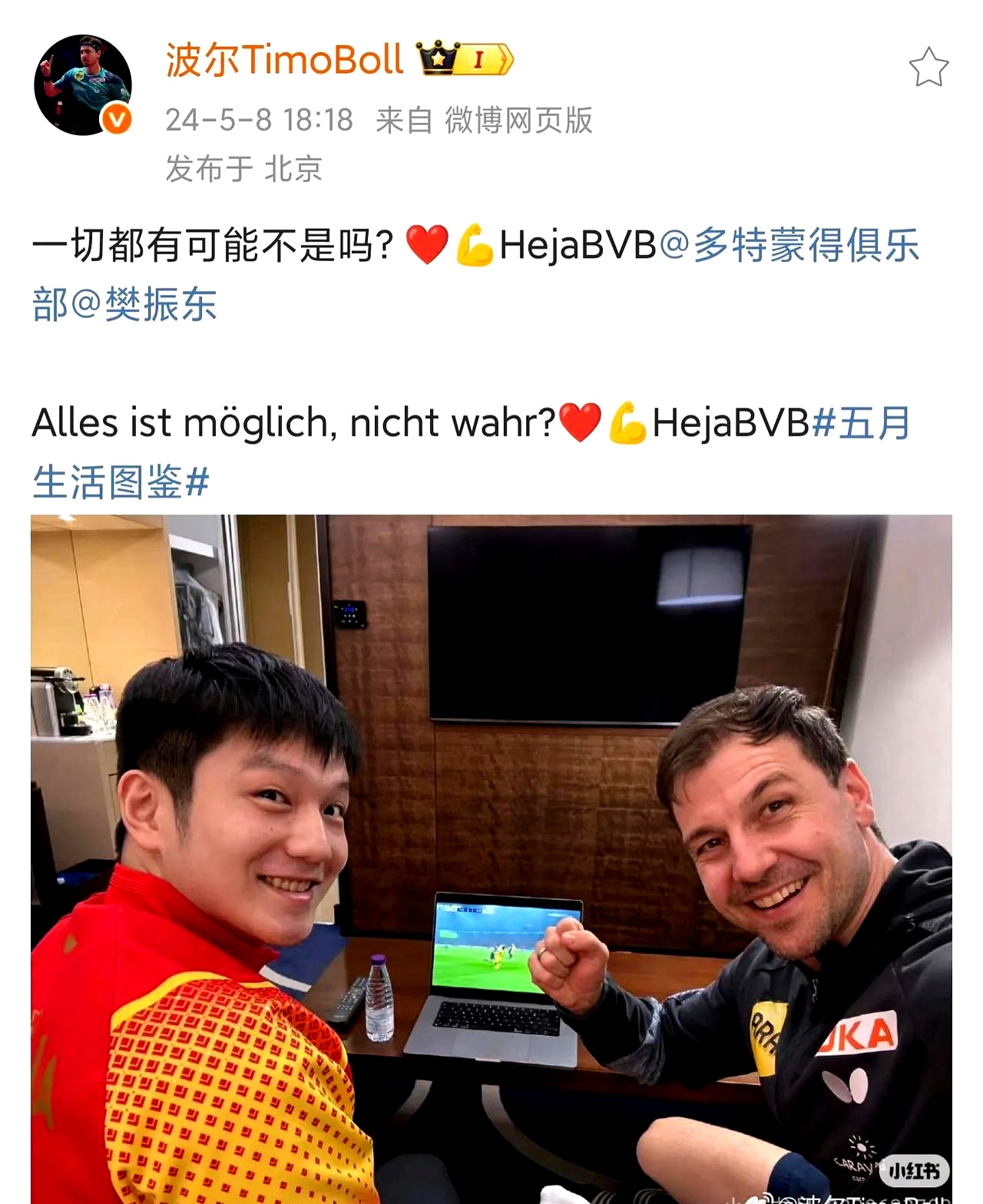 包含德国乒乓球队逆转韩国乒乓球队,波尔高光表现的词条 包含德国乒乓球队逆转韩国乒乓球队,波尔高光表现的词条