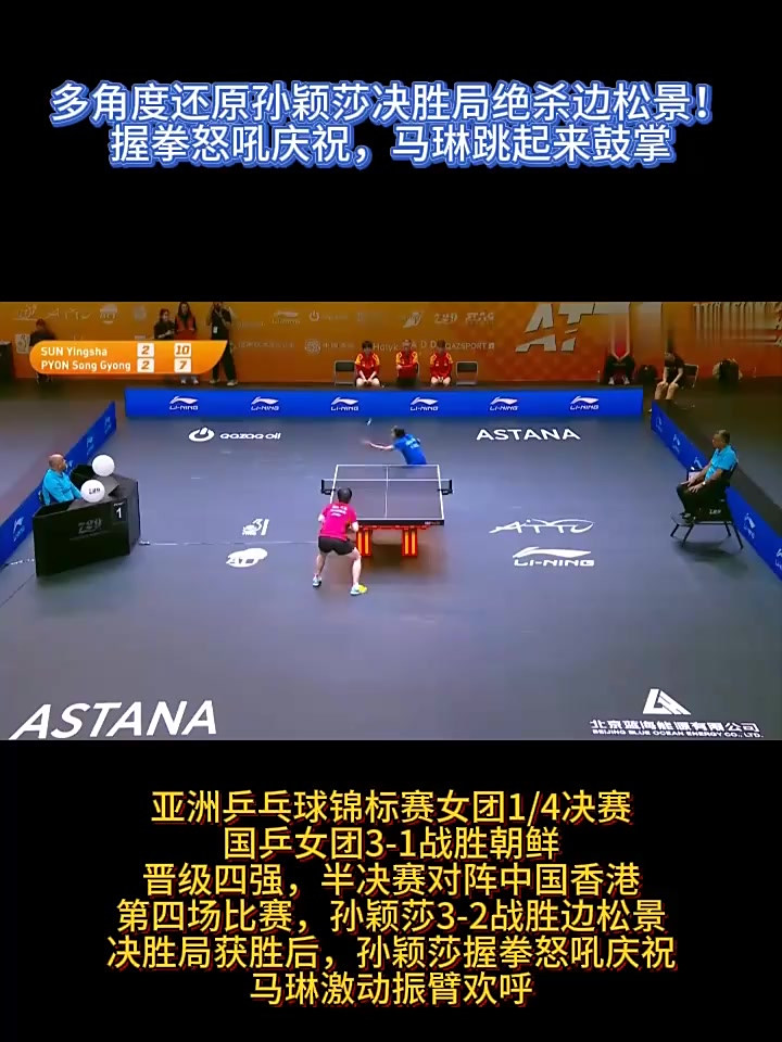 中国羽毛球队绝杀韩国羽毛球队，马琳高光表现的简单介绍