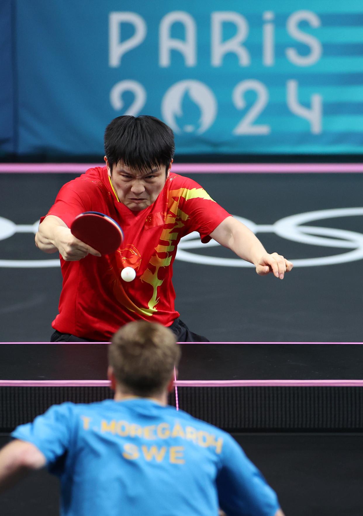 包含波兰队轻取德国队，樊振东高光表现的词条